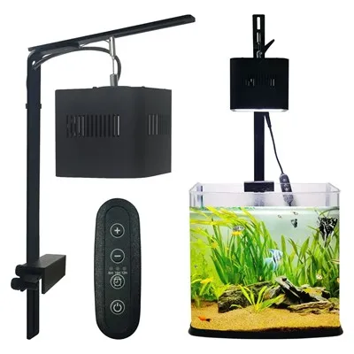 หลอดไฟถังปลา