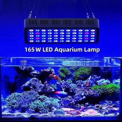 แสงพิพิธภัณฑ์สัตว์น้ำเต็มรูปแบบ